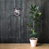 Emo Monkey posters - Image 6