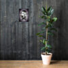 Emo Monkey posters - Image 5